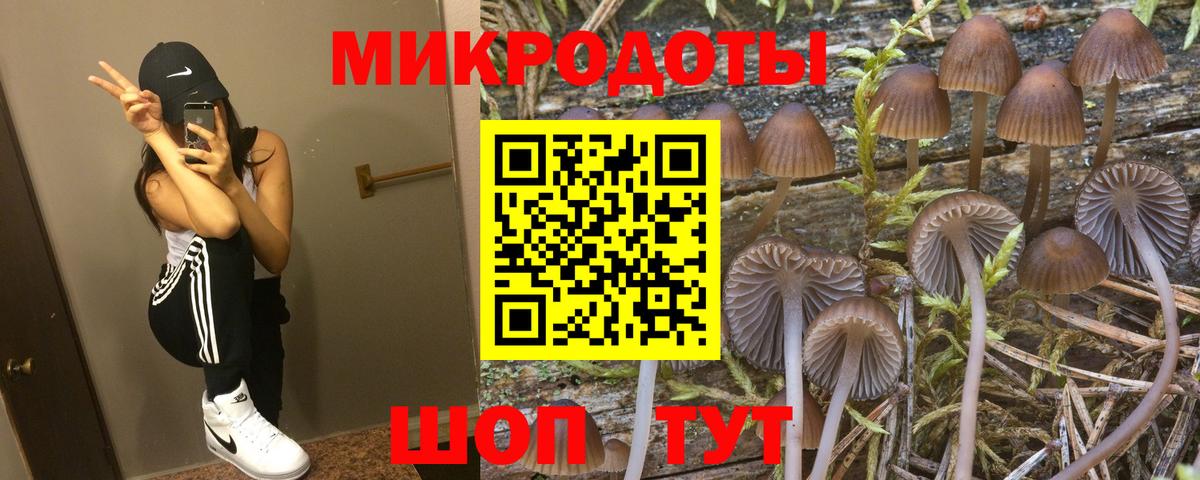 цена наркотик  Вход с VPN  Черкесск  Псилоцибиновые грибы Cubensis 